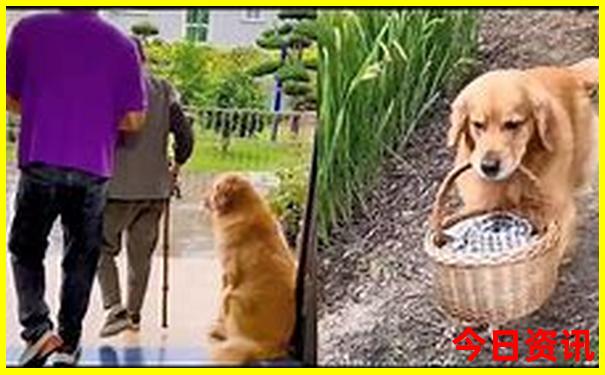 什么地方的小龙虾出名
